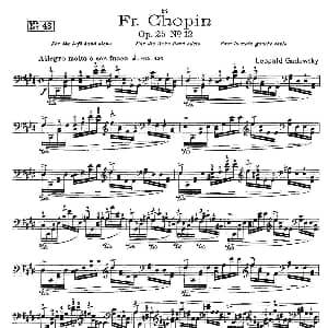 肖邦 练习曲 Fr.Chopin Op.25 No12 钢琴谱 Godowsky改编