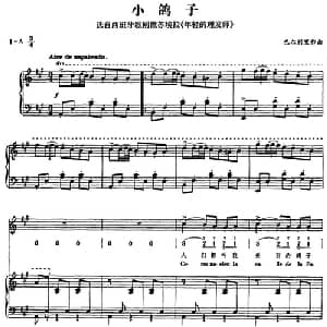 小鸽子_外国歌谱_词曲: 巴尔别里