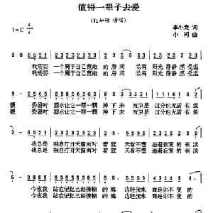 值得一辈子去爱_通俗唱法乐谱_词曲:李小龙 小柯