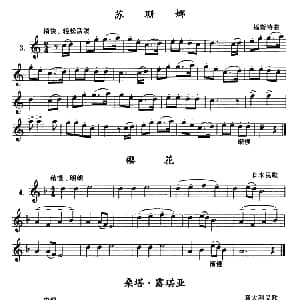 苏珊娜/樱花/桑塔 露琪亚 单簧管