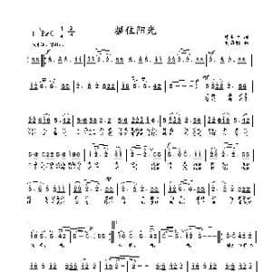 握住阳光_歌曲简谱_词曲:韩水平 刘启明