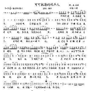 可可托海的牧羊人_歌曲简谱_词曲:王琪 王琪