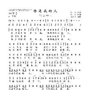 你是我的人_歌曲简谱_词曲:韩,东 韩 东