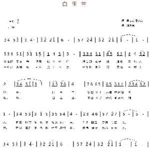 白玉兰_歌曲简谱_词曲:戴志龙 潘永良 潘永良