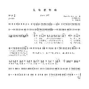 人生嘉年华_歌曲简谱