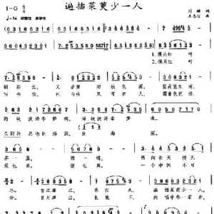 遍插茱萸少一人_民歌简谱_词曲:刘麟 王志信