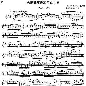 大提琴高级练习曲40首 No.24 戴维 波帕尔