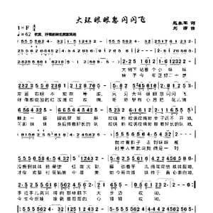 大环眼眼忽闪闪飞_歌谱投稿_词曲:赵永军 刘莎