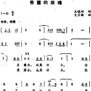 带露的玫瑰_美声唱法乐谱_词曲:王晓岭 史宗毅