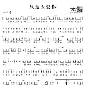 只是太爱你_通俗唱法乐谱_词曲:张敬轩 张敬轩