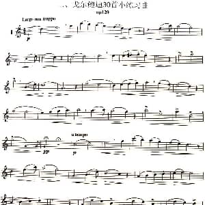 长笛曲谱 | 三十首小练习曲作品120号 NO.1 Garibold 加里波第