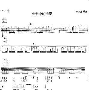 生命中的精灵 吉他谱 李宗盛 李宗盛 李宗盛