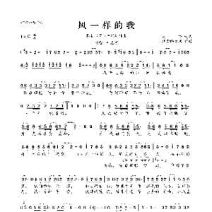 风一样的我_歌曲简谱_词曲:周琦 周琦