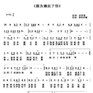 因为遇见了你_歌曲简谱_词曲:吴宗信 快乐好歌