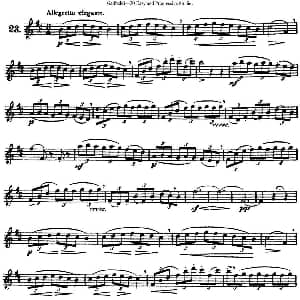 长笛曲谱 | 三十首基础及提高练习曲 NO.23 Garibold 加里波第