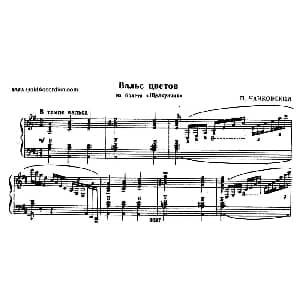 手风琴谱 | 花之圆舞曲