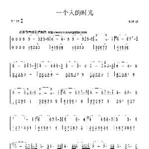 一个人的时光_歌曲简谱_词曲:石进 石进