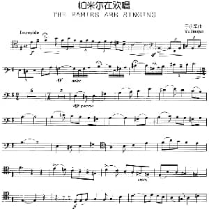 帕米尔在欢唱 长号 于京军