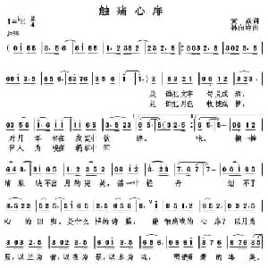 触痛心扉_通俗唱法乐谱_词曲:黄焱 孙向岭