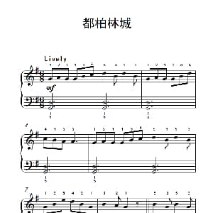 都柏林城 钢琴谱