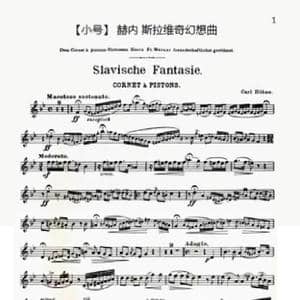 斯拉维奇幻想曲_歌曲简谱_词曲: 赫内