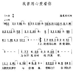我曾用心爱着你_通俗唱法乐谱_词曲:潘美辰 潘美辰