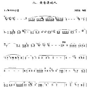 黄昏耍蛇人 箫独奏曲 刘群强编曲