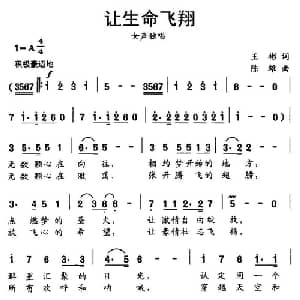 让生命飞翔_通俗唱法乐谱_词曲:王彬 陈雄