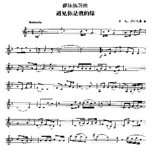 趣味练习曲 遇见你是我的缘