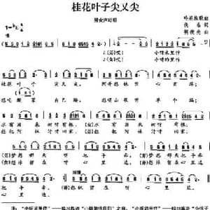 桂花叶子尖又尖_民歌简谱_词曲:佚名 胡俊先