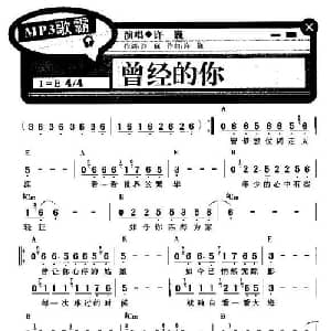 曾经的你_通俗唱法乐谱_词曲:许巍 许巍