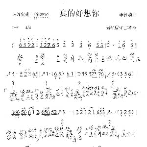 真的好想你 古琴曲 简谱 减字谱 李汉颖
