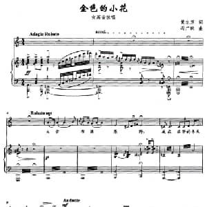 金色的小花_美声唱法乐谱_词曲:黄永玉 冯广映