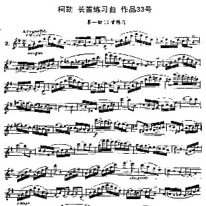 长笛曲谱 | 柯勒长笛练习曲作品33号 第一册 2 埃内斯托 柯勒 ERNESTO KOEHLER