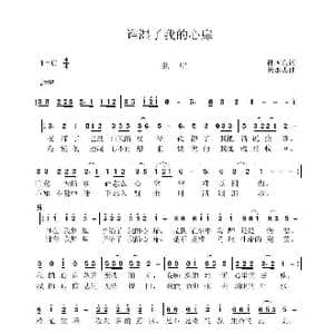 谁湿了我的心扉_歌曲简谱_词曲:孙国良 黄永杰