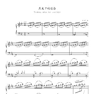 月光下的思念 钢琴谱 巴特尔