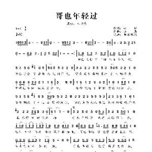 哥也年轻过_歌曲简谱_词曲:老树 陈浩