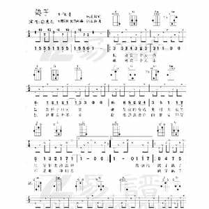 鸽子_歌曲简谱_词曲:林晨阳 林晨阳