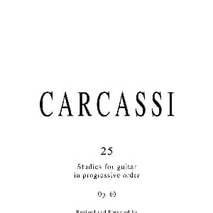 卡尔卡席25首练习曲之6 10 吉他谱