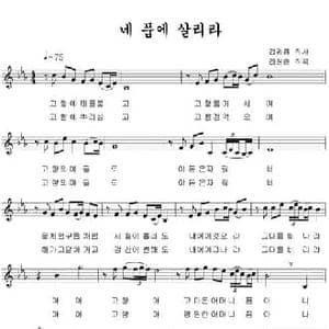 生活在你的怀抱里_民歌简谱