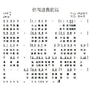 你闯进我的微_通俗唱法乐谱_词曲:单来民 轻云望月