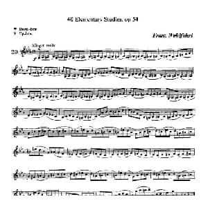 小提琴谱 | 40首小提琴初级技巧练习曲之29 弗朗茨 沃尔法特