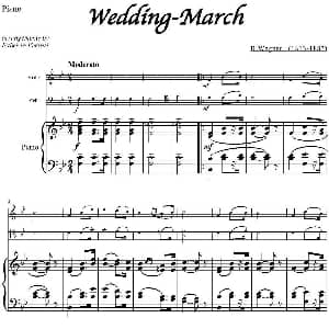 Wedding March 小提琴 大提琴 钢琴伴奏 R.Wagner