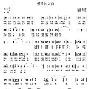 爱情的方向_通俗唱法乐谱_词曲:翟光平 云飞扬