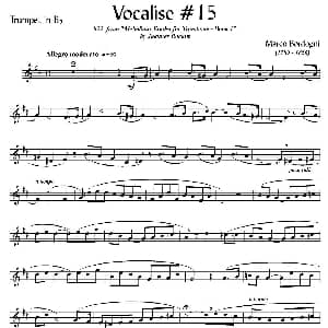 Bordogni Vocalise #15 小号 Marco Bordogni