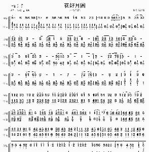 花好月圆 中阮分谱
