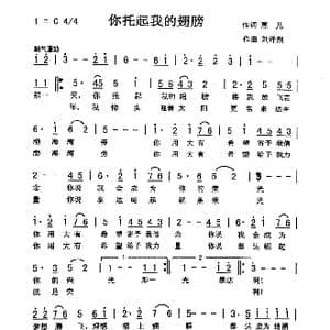 你托起我的翅膀_歌曲简谱_词曲:惠儿 刘泽湖