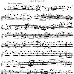 长笛曲谱 | 二十首练习曲作品132号之6 Garibold 加里波第