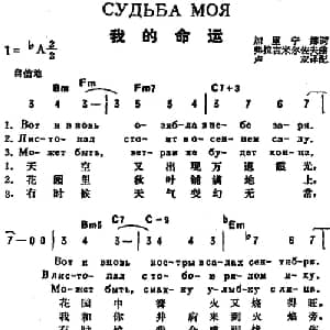 我的命运 前苏联 _外国歌谱_词曲:加里宁娜作词 卢双译配 符拉吉米尔佐夫