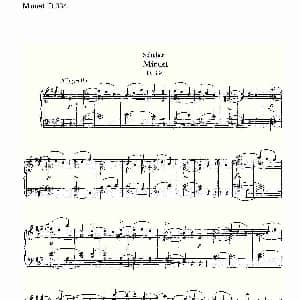 Minuet D.334 钢琴谱